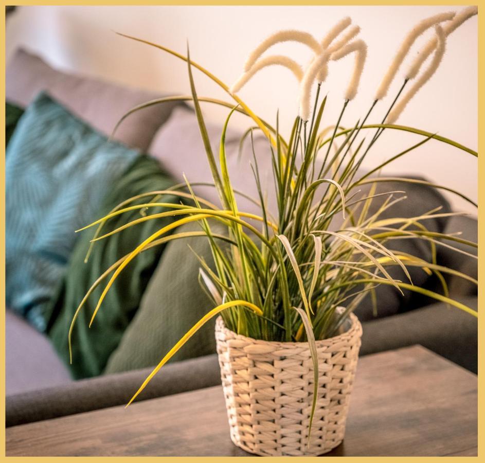 Appartement T3 I Cozy I Douvaine Eksteriør billede