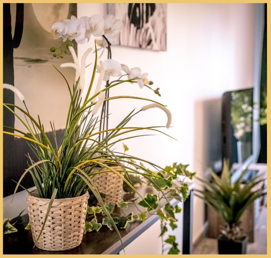 Appartement T3 I Cozy I Douvaine Eksteriør billede